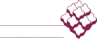 ICPI